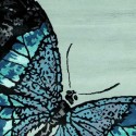Carpet moderno Wallflor Butterfly Sky Lauren Jacob
