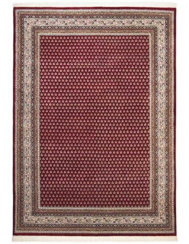 tappeto Abbas Meraj Mir 562 rosso crema