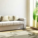 Carpet moderno Foglie Natalia Pepe (-35%) cream cm.200x300 di SITAP